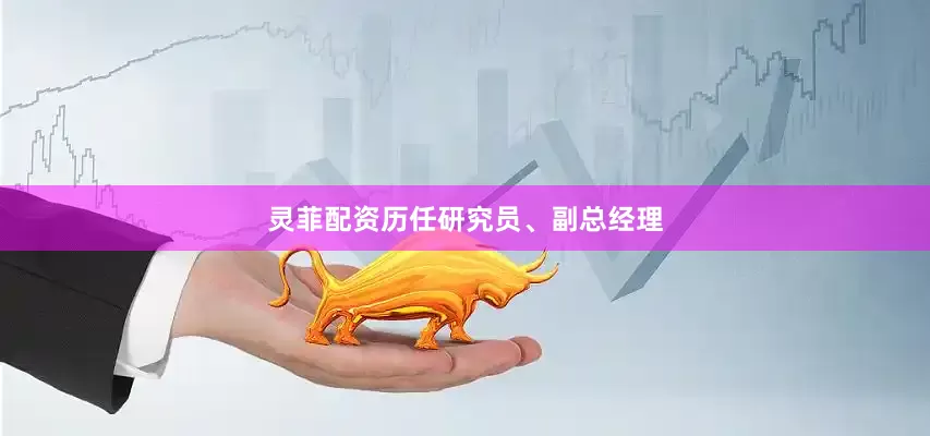 灵菲配资历任研究员、副总经理