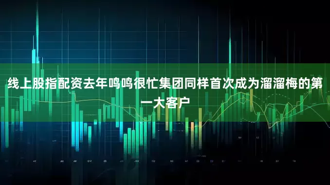 线上股指配资去年鸣鸣很忙集团同样首次成为溜溜梅的第一大客户