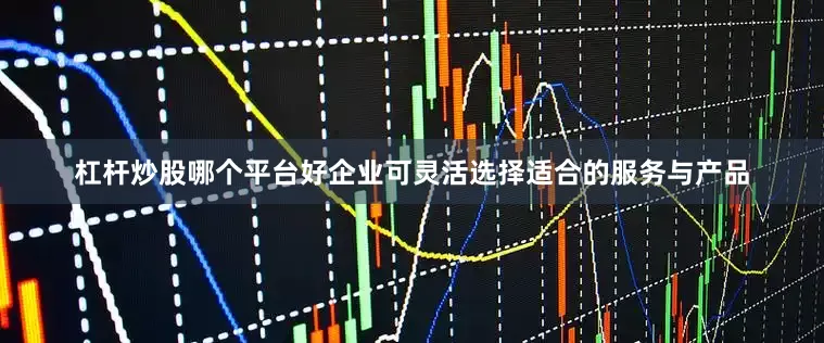 杠杆炒股哪个平台好企业可灵活选择适合的服务与产品