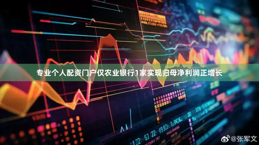专业个人配资门户仅农业银行1家实现归母净利润正增长