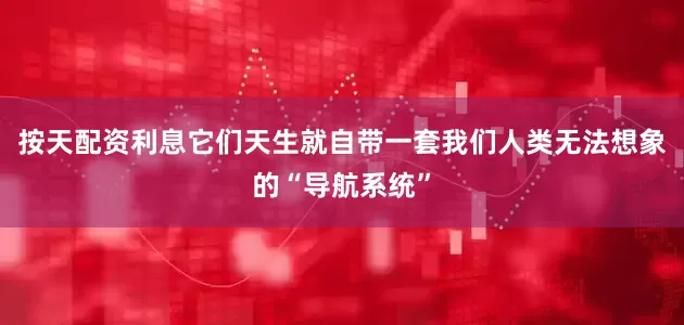 按天配资利息它们天生就自带一套我们人类无法想象的“导航系统”