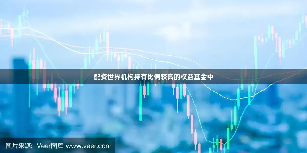 配资世界机构持有比例较高的权益基金中