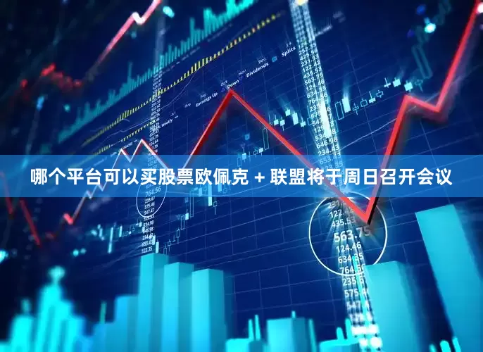 哪个平台可以买股票欧佩克 + 联盟将于周日召开会议