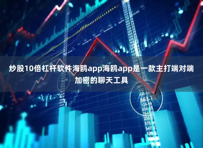 炒股10倍杠杆软件海鸥app海鸥app是一款主打端对端加密的聊天工具